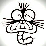 11378632_368782503329061_1690425586_a