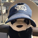 11195840_939383096112297_2113008511_a