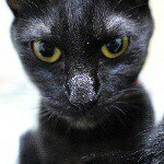 11137669_770037153103411_884887746_a