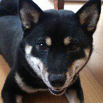 10865031_1755352431356622_1659968814_a