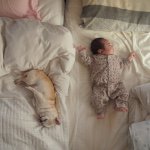 11256298_748703118575740_1438686632_a