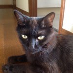 Profile_231633870_75sq_1349351122