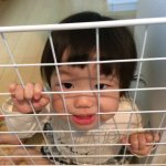 11189141_905410346175702_1051170490_a