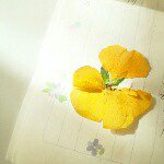 10808608_992681504080323_1717227592_a