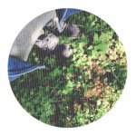 11259505_1438193836482006_290556426_a