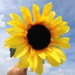 11137962_821468214555085_215099705_a