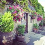 10727795_821554757886619_1550822022_a