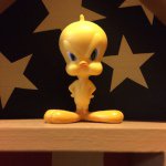 11176333_1716632365234281_1853482090_a