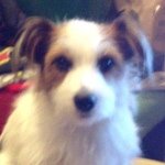 Profile_968828855_75sq_1389495230