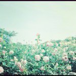 Profile_291069_75sq_1368422262