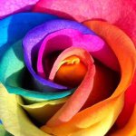 10899149_758482000902876_2026106714_a