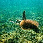 Profile_833646612_75sq_1387627592