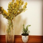 11078889_1601721916737407_677149362_a