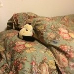 Profile_1171476359_75sq_1394605582