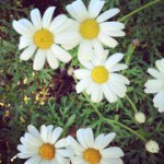 Profile_12812303_75sq_1362313023