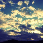 10818047_874974699187532_243258348_a