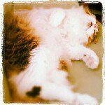 Profile_191786231_75sq_1345113200