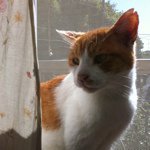 Profile_22113950_75sq_1328334676