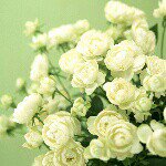 Profile_473138851_75sq_1374302475