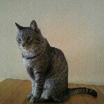 Profile_298016532_75sq_1394016338