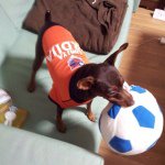 10624352_493956780740117_1636606455_a