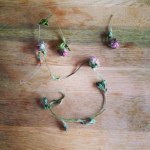 10707253_1490061304606698_1296071800_a