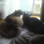 Profile_9589630_75sq_1377998600