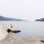 11226707_1628746900702050_660116900_a