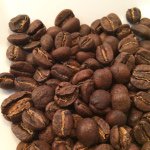 10848462_853541491343330_964590634_a