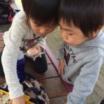 10724597_1562669520657841_1180784815_a