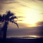 Profile_195444838_75sq_1357296735