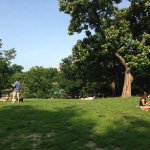 11376539_402825216570114_240200400_a