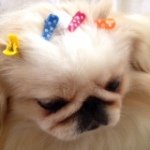 Profile_787850053_75sq_1387502460