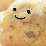 11236346_1089907971025744_1195045453_a