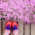 11208527_1592027541014308_439165511_a