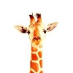 Profile_287756591_75sq_1395991957