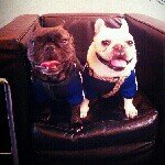 Profile_1164380191_75sq_1394417551