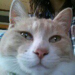 Profile_488860534_75sq_1375274356