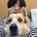 11267822_1631458737088852_2003607934_a