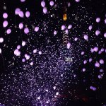 10518058_1488583948052639_1561140496_a