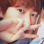 11244042_392935057558070_460046721_a