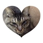 10375826_1485579928342676_101900533_a