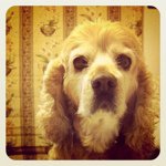 Profile_21039760_75sq_1330063944