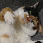 Profile_325583679_75sq_1367989354