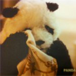 Profile_6266471_75sq_1310741703