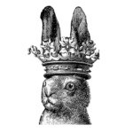 11008147_802783956480454_614841703_a