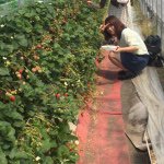 11176498_697102090400302_1321551004_a