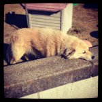 Profile_251767223_75sq_1358985480