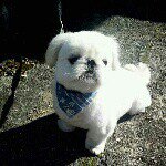 Profile_504746161_75sq_1376283638