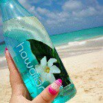 11252086_1845159379042463_445800164_a